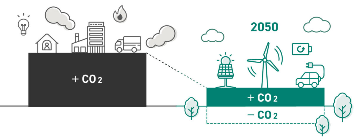 CO₂を固定できる再生素材 フクウッド
