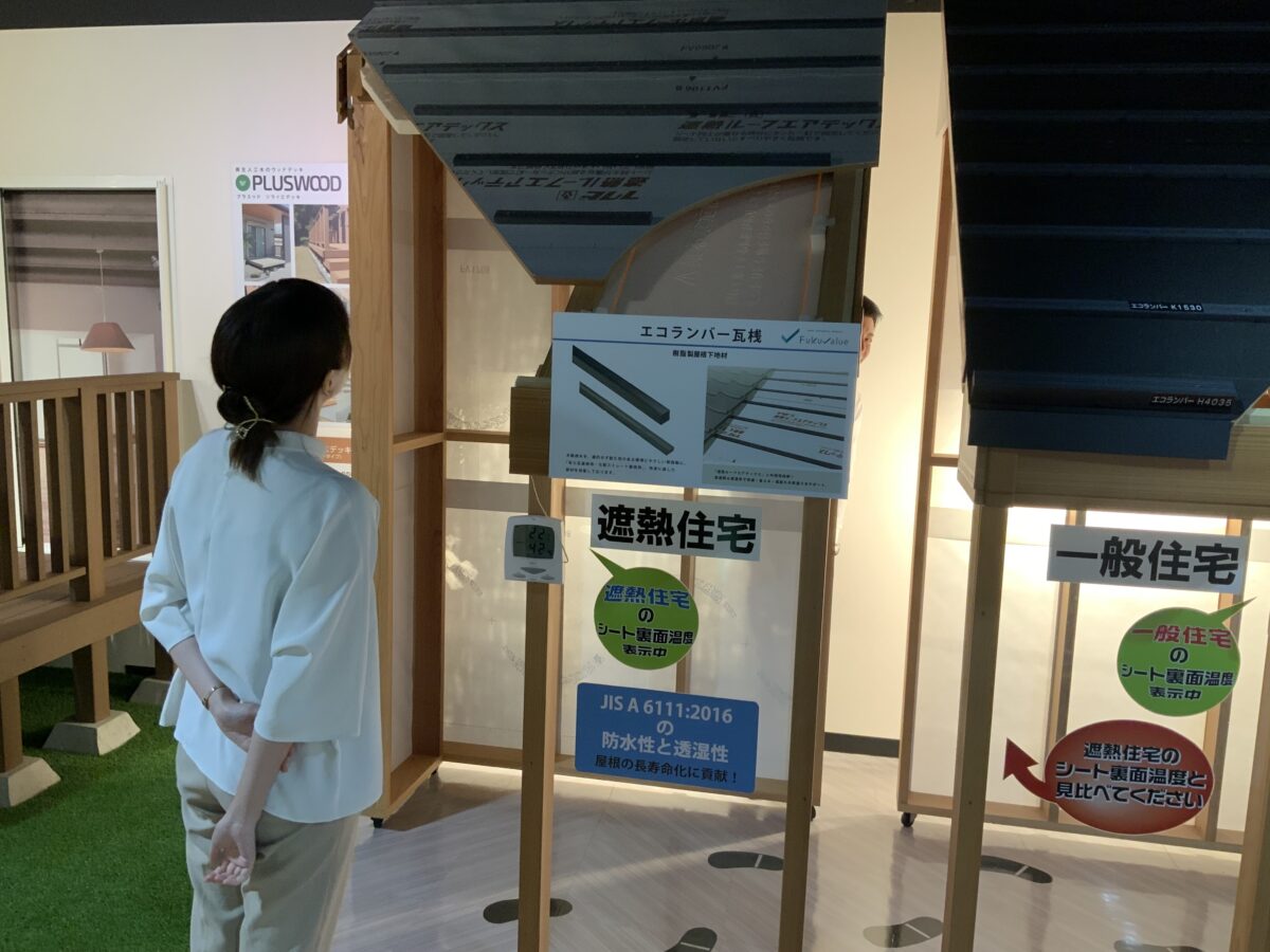 池ちゃんさんぽ最終回