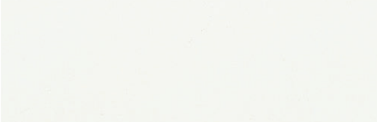 W　ホワイト　UV