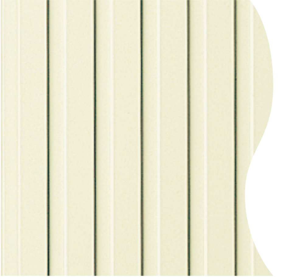 Z ゾウゲ